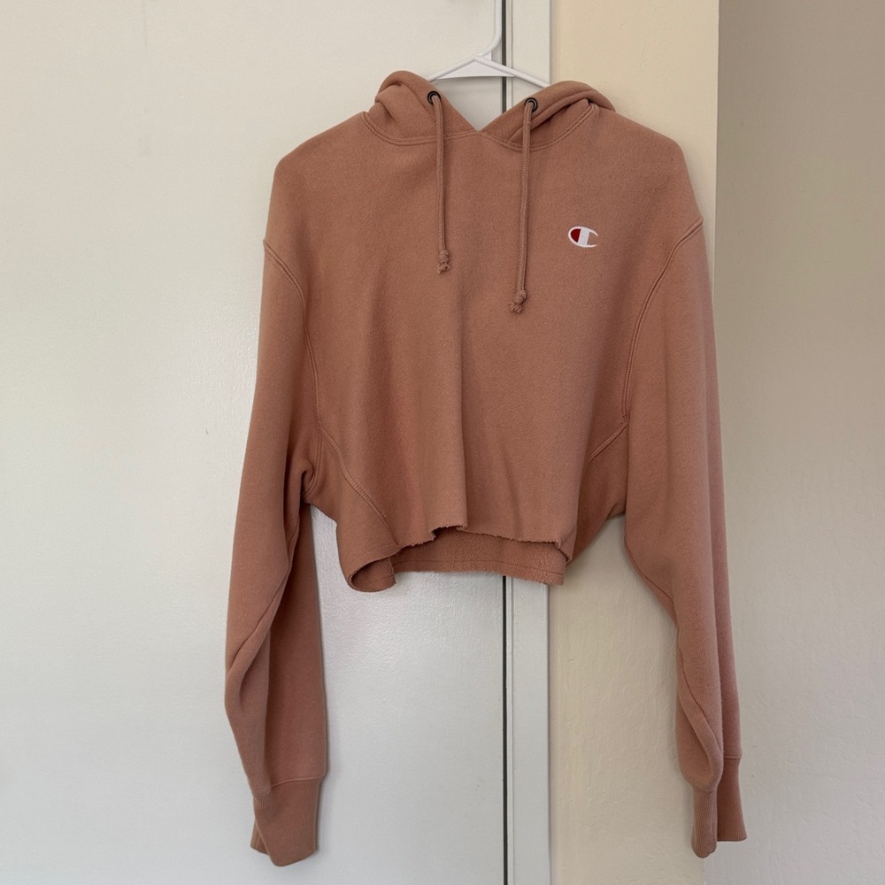 Champion Cropped Hoodie in Mauve